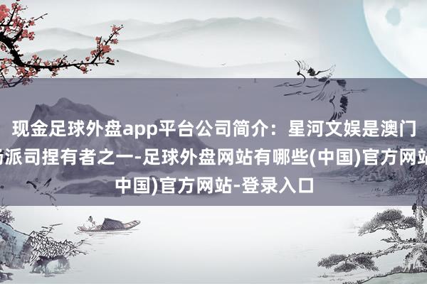 现金足球外盘app平台公司简介：星河文娱是澳门六家文娱场派司捏有者之一-足球外盘网站有哪些(中国)官方网站-登录入口