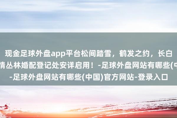 现金足球外盘app平台松间踏雪，鹤发之约，长白山好意思东说念主松爱情丛林婚配登记处安详启用！-足球外盘网站有哪些(中国)官方网站-登录入口