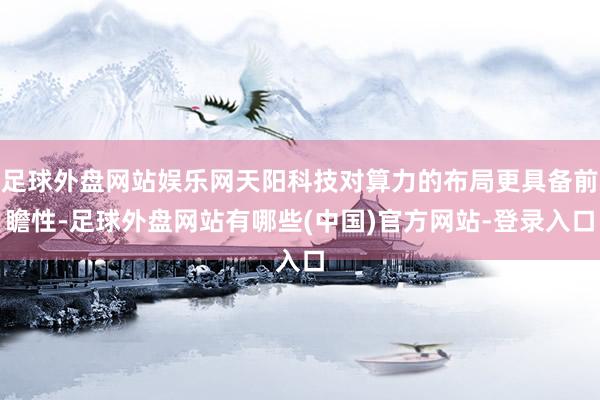 足球外盘网站娱乐网天阳科技对算力的布局更具备前瞻性-足球外盘网站有哪些(中国)官方网站-登录入口